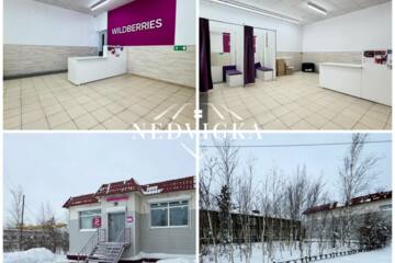 Отдельно стоящее здание, 91 м²